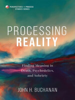 cover image of Processing Reality
